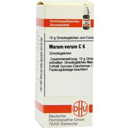 MARUM VERUM C 6
